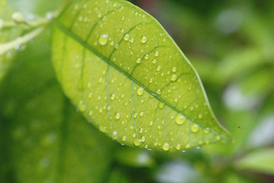 Spring Savings: Refresh Your Budget