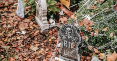 Celebrate Halloween: Spooktacular Discounts