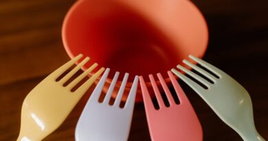 Affordable Bites: Your Dining Guide