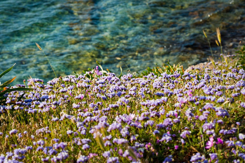 Spring Fling: Refresh with Seasonal Offers