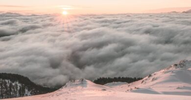 Winter Wonderland Deals: don't Miss Out