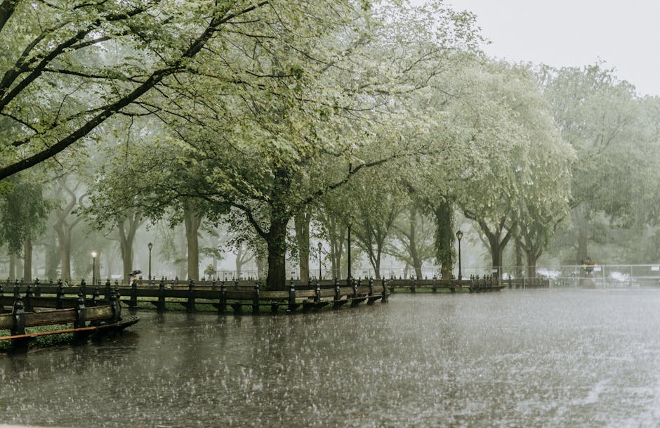Spring Fling: Refresh with Seasonal Offers