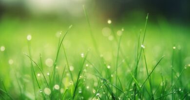 Spring Fling: Refresh with Seasonal Offers