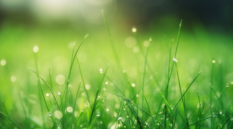Spring Fling: Refresh with Seasonal Offers