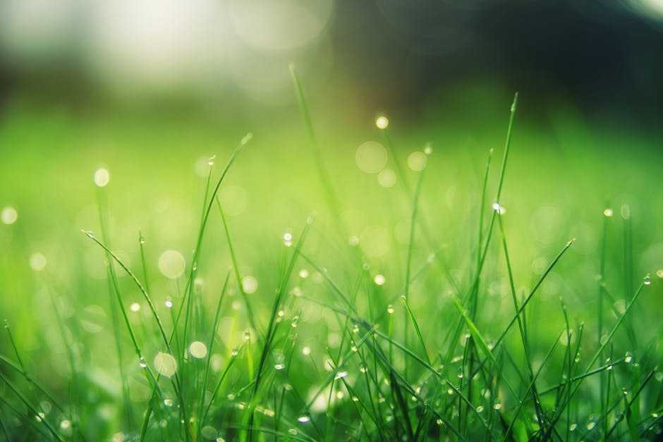 Spring Fling: Refresh with Seasonal Offers