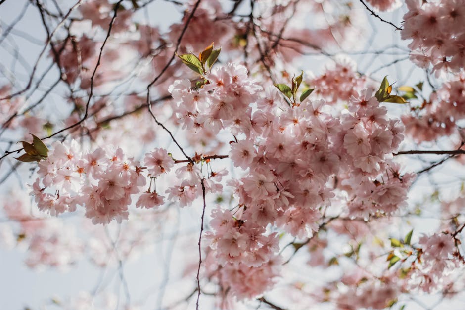 Spring Fling: Refresh with Seasonal Offers