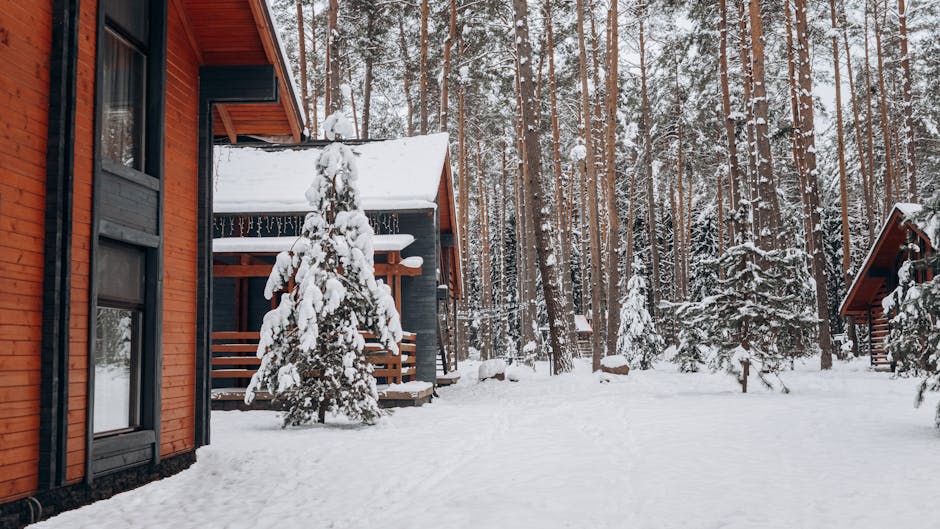 Winter Wonderland Deals: Don’t Miss Out