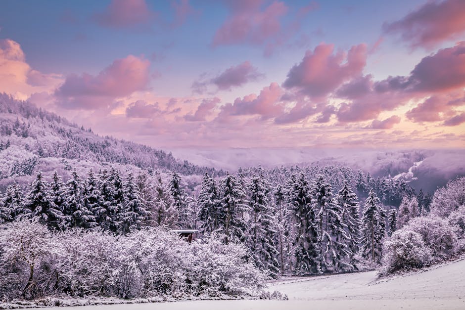 Winter Wonderland Deals: Don’t Miss Out