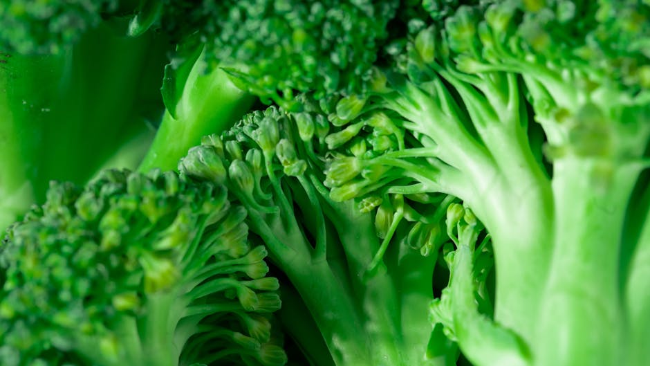 Best Grocery Discounts for Healthy Eating